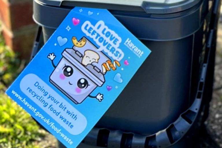 Food bin loving leftovers