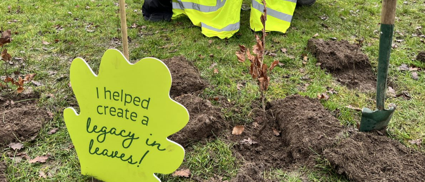 Tree planting