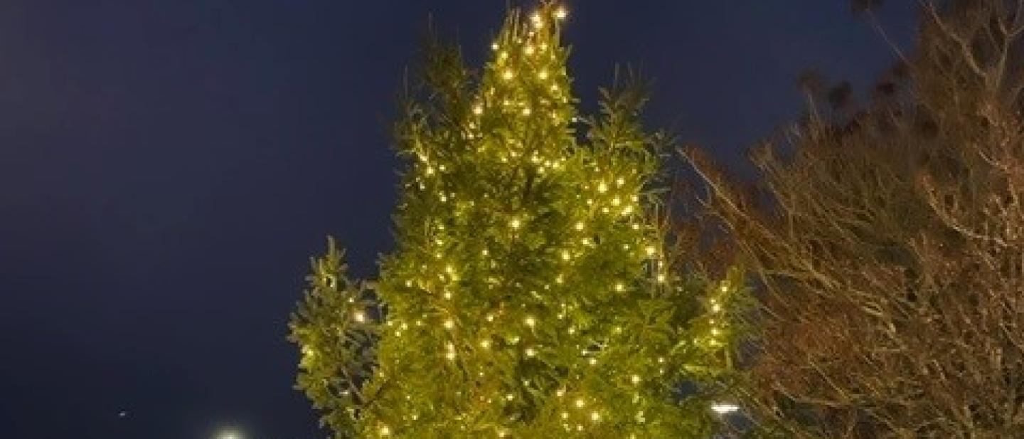 Christmas Tree