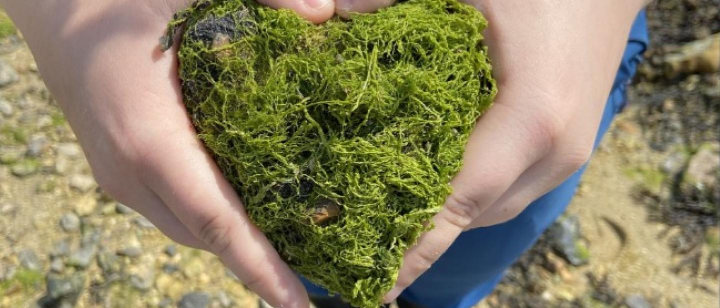 Moss heart in hand
