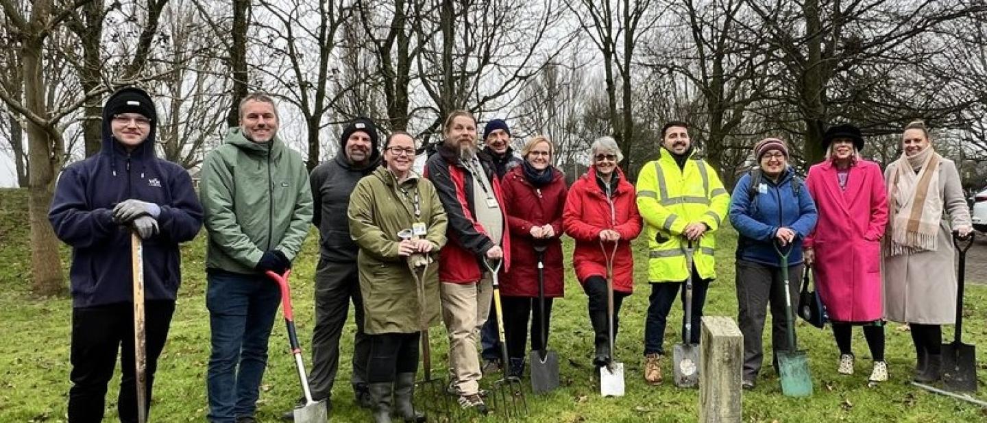 Tree planting