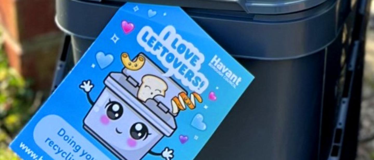 Food bin loving leftovers